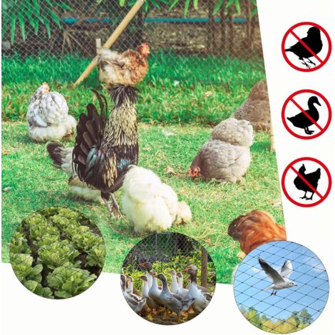 Filet Anti Insecte Piscine Filet Anti-oiseaux Ortoflex 2x10m - Protection Jardin Contre Oiseaux Et Insectes | Filet Polyvalent Pour Arbres Fruitiers Et Plantes Anti Oiseaux