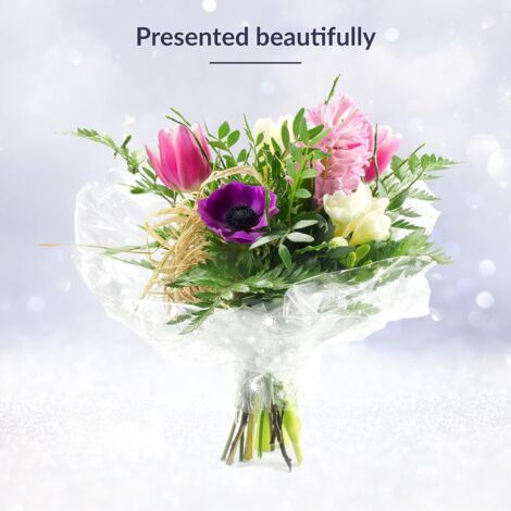 Lot De 100 Sacs En Cellophane Transparents Avec Soufflet à Base