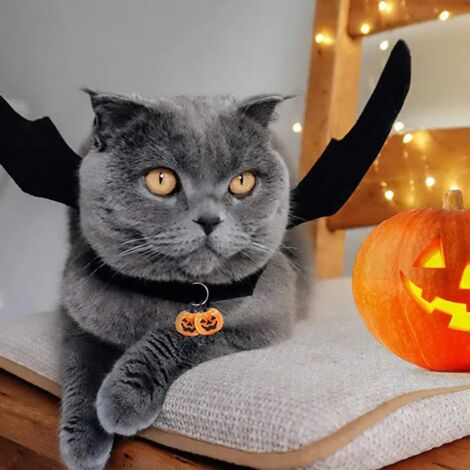 Chapeau Halloween Pour Chien Et Chat - Déguisement Tête De Chauve-Souris à Œil - Lanière Réglable - Taille Moyenne - 5
