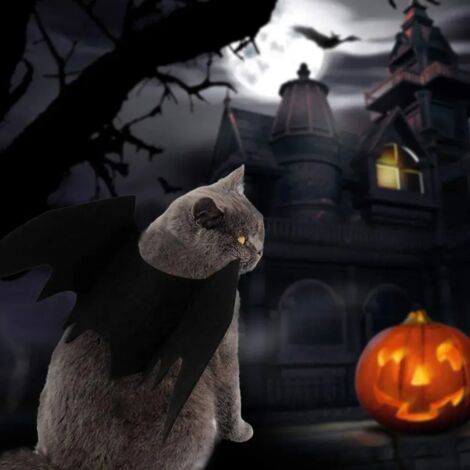 Costume De Lion Pour Chien Et Chat - Crinière Réglable - Halloween, Cosplay Animaux (tailles S,M,L)