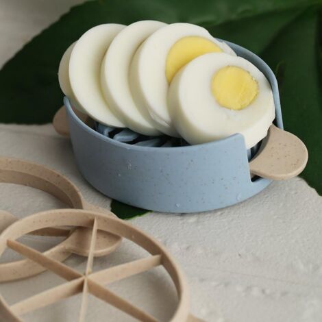 Québec | Ognons Vert (échalotes) | Mes MELLEURS Consels Pour Ben