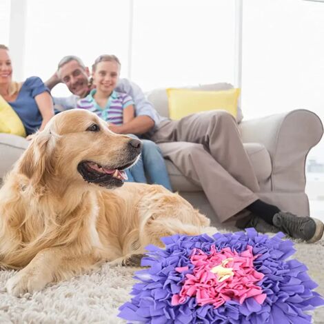 Tapis De Reniflement Pour Chien - Plateau D'Alimentation Lente Avec Sons - Stimulation Mentale & Jeu