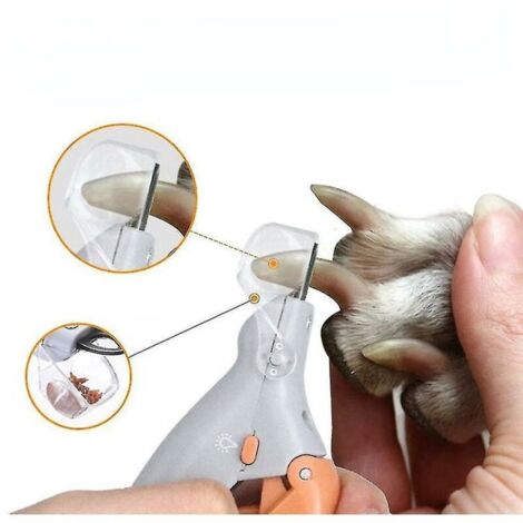Ciseaux pour coupe-ongles - Professionnel - Chien - LED - Acier inoxydable - Anti-éclaboussures