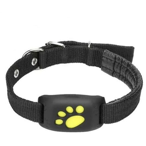 Traceur GPS animaux temps réel - Autonomie 7 jours - IP68 - Compatible iOS/Android - Certifié RED/RoHS (1/4)