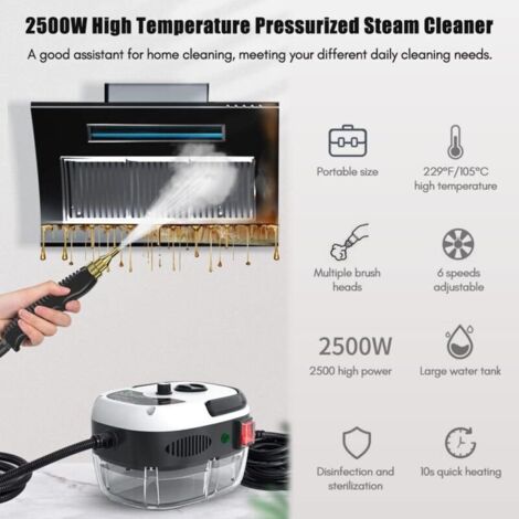 Nettoyer à Vapeur, 2500W Nettoyeur Vapeur Professionnel avec 6 Têtes