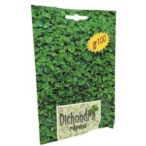 3,0 x SEME PRATO DICHONDRA REPENS