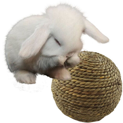 Balle à Mâcher Pour Lapin - Jouet Naturel En Paille - Soin Dentaire Et Distraction - Pour Intérieur/Extérieur