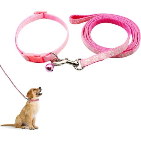 Collier Et Laisse pour Petit Chien, Collier pour Chien Et Laisse, Colliers Et Laisse Réglables, Pet Collier Et Laisse, pour Petits Chiens, Chats (1/5)