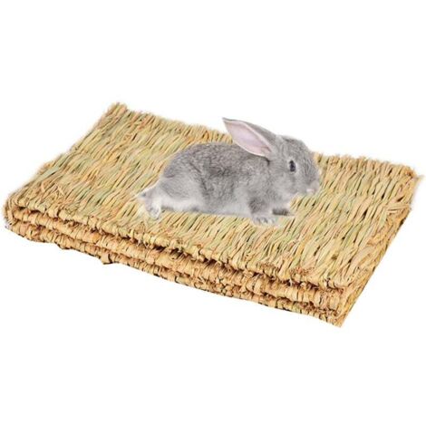 3 Pièces Tissées à la Main Tapis d'herbe pour Lapins, Jouets à Naturels pour Petits Animaux pour Lapins Cochon d'Inde Hamster Chinchilla (1/5)