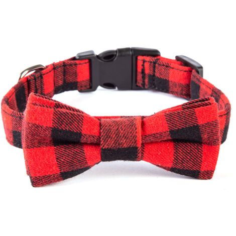 Collier pour chien rouge et noir - Taille M (2,5 x 50 cm) - Design élégant, boucle métal, pour tous les jours