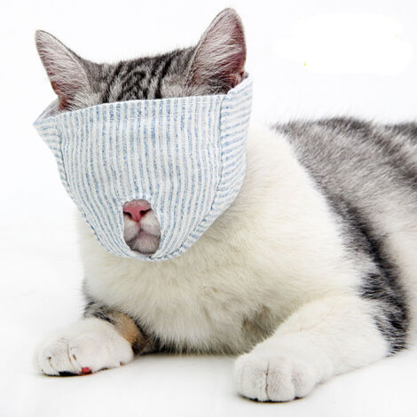 Masque de protection pour animal couvrant les yeux, taille M, empêchant les griffures et les morsures pendant le toilettage