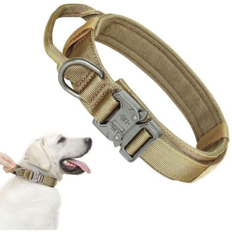 Collier pour chien avec boucle métal, kaki, taille L (43-52 cm)