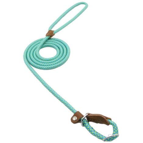 Laisse pour chien, 150 cm, bleue, taille XL