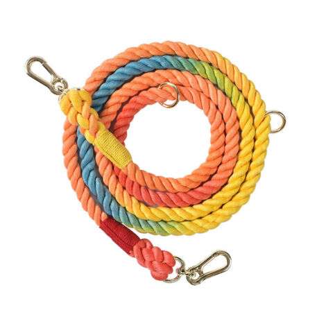 Laisse de course tressée pour chien – Motif arc-en-ciel – Accessoires dorés – Longueur 210 cm