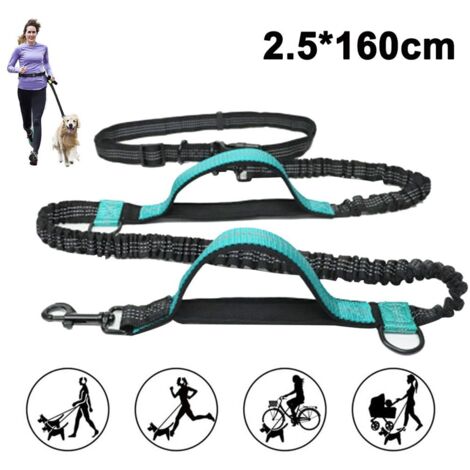 Les amoureux de chien Joggingleine pour les Chiens de grande taille à partir de 15 kg  Élastique Freihandleine avec une légère Ceinture Amovible en Laisse avec 2 Boucles souples  Orange Longe (160 cm, (1/5)