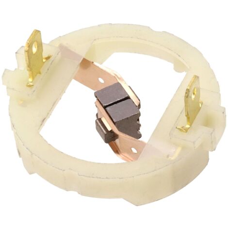 Balai Charbon pour Parkside PWSA 20 Li C3 / PWSA 20 Li B3 / PWSA 20 Li B2 moteur RS897 RS895 RS875 RS887, Pour Moteur de Perceuse Rechargeable au Lithium
