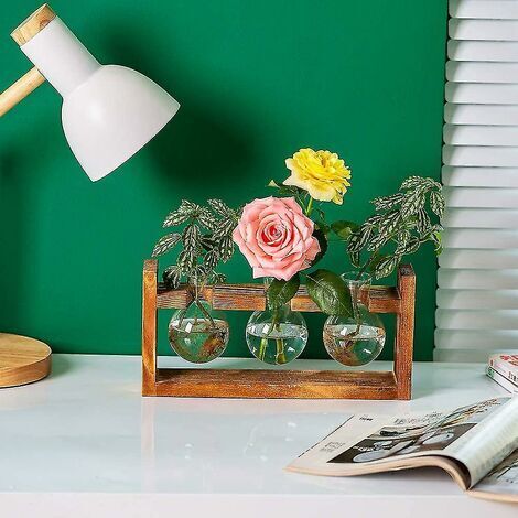 Station De Propagation Plantes Vintage 5 Ampoules Verre - Terrarium Hydroponique Avec Support Bois