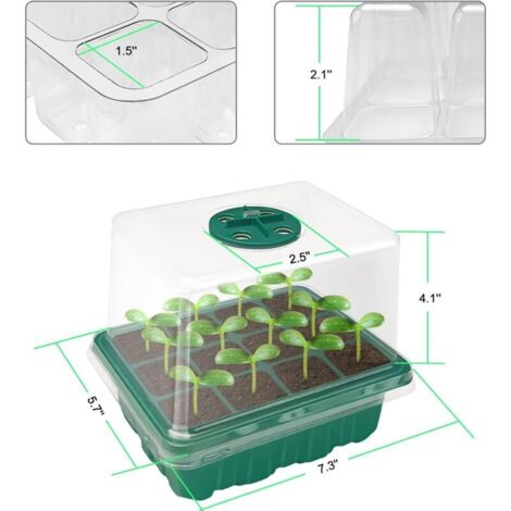 Poire De Terre Yacon A Planter Bac A Semis Avec Couvercle 10 Pièce 12 Trous Mini Serre Pour Plantes De Mini Serre Pour Semis Interieur
