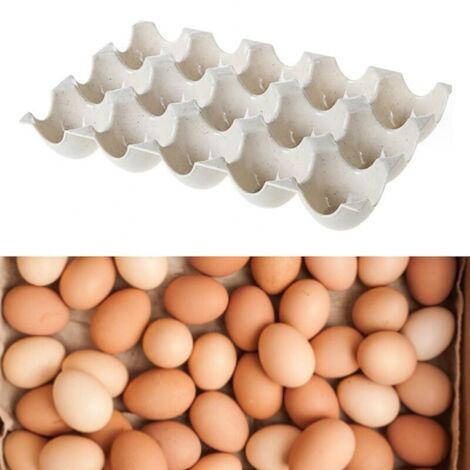 Boîte De Rangement Pour Œufs Réfrigérateur 15 Compartiments Boîte De Rangement Portable Pour Pique-Nique Boîte De Voyage En Plastique