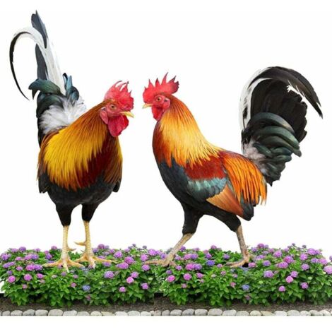 Ornements de jardin en forme de poule, lot de 2 statues décoratives de coq pour jardin, figurines d'animaux en résine pour la décoration de jardin. (1/5)