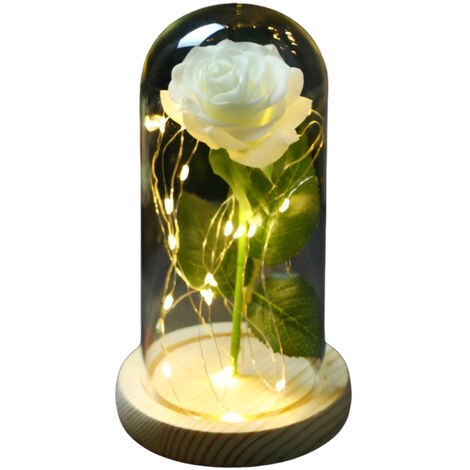 Lampe Rose en Verre LED - JINFGERNE - Décoration Élégante pour Fête des Mères et Saint-Valentin - Blanc (1/5)