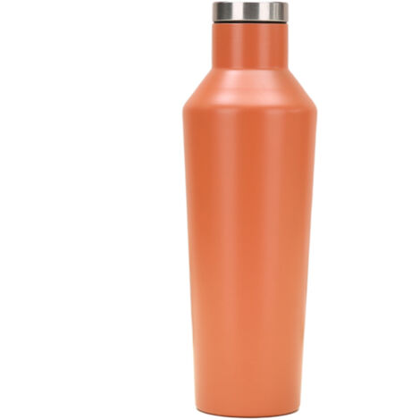 Gobelet Isotherme 590 ml Orchidée Brillante - JINFGERNE - Bouteille Réutilisable en Acier Inoxydable, Gardez Vos Boissons Froides ou Chaudes avec Bouchon Étanche et Conception Ergonomique (1/5)