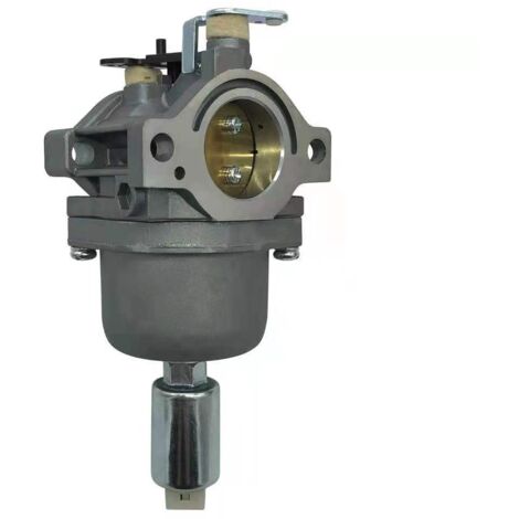 Carburateur pour Briggs & Stratton - Compatible avec 799727 698620 791886 690194 (1/5)