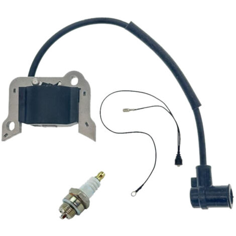 S-giant Bobine d'allumage haute tension compatible Briggs & Stratton 595291 796500 – Pièce de remplacement pour tondeuses à gazon Briggs & Stratton (1/4)