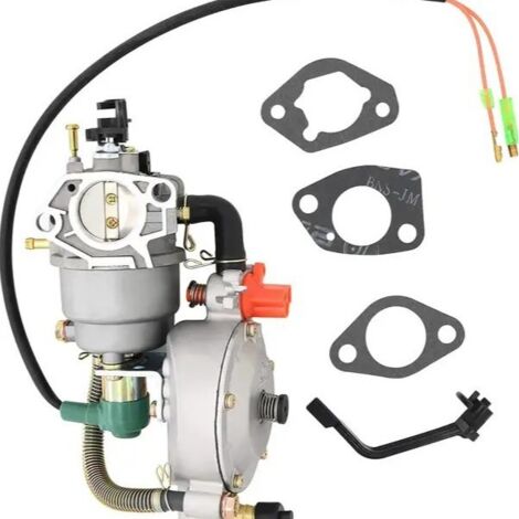 S-giant Carburateur double carburant 188 190 - Compatible avec gaz liquéfié et essence (1/5)