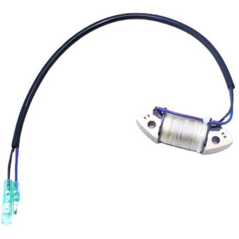 S-giant Bobine de charge pour moteur hors-bord Tohatsu 4 temps 9.8HP - Compatible avec 3AA-06021-0. (1/5)