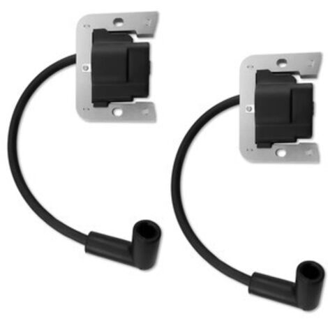 S-giant Kit de 2 Bobines d'Allumage Compatible avec 32-707-01-S, 25-707-03-S, 3270701 (1/5)