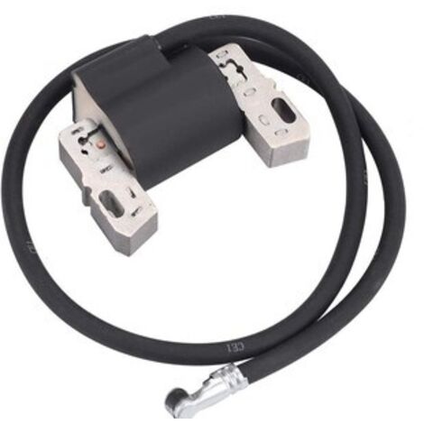 S-giant Bobine d'Allumage Haute Tension Compatible avec Références 398811, 395492, 398265, 395326 (1/5)