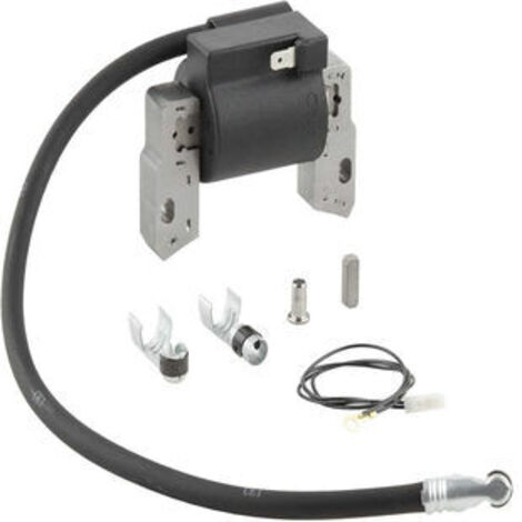 S-giant Bobine d'Allumage Haute Tension Compatible avec Références 591420, 395489, 398593, 397316