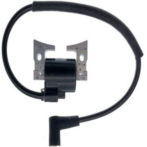 S-giant Bobine d'allumage haute tension compatible avec EY28, EY 28, 7.5HP (1/4)