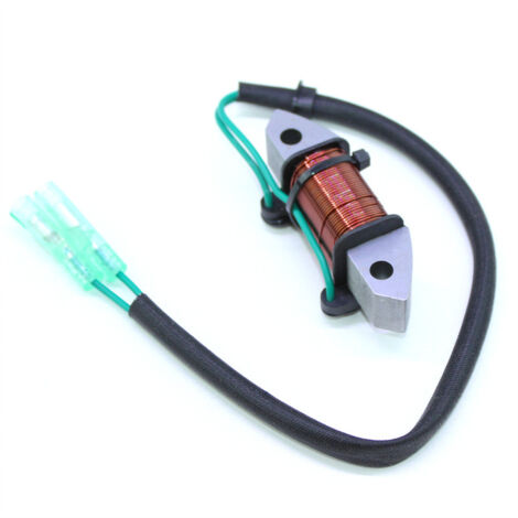 S-giant Bobine d'éclairage pour moteur hors-bord Yamaha 2 temps 25HP/30HP - Compatible avec 61N-81313-09/61N-81313-00. (1/5)