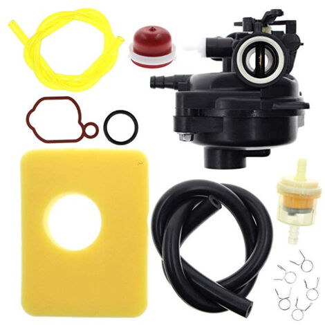 Ensemble de carburateur Briggs & Stratton 799583 - 09P602 - Avec filtre à air filtre à huile tuyau d'huile etc. (1/5)