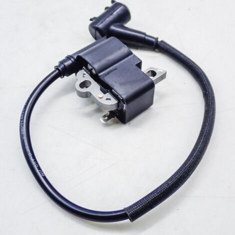 S-giant Bobine d'allumage haute tension pour Ignition Coil TS700 TS800 (4224 400 1301) compatible. (1/5)