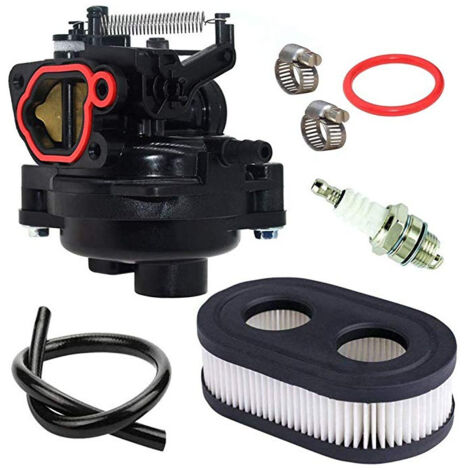 S-giant Ensemble de carburateur Briggs & Stratton 799584 - 09P702 - 0145 - F1 - Avec filtre à air tuyau d'huile etc. (1/5)