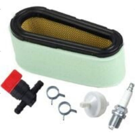 S-giant Filtre à carburant 592 compatible avec moteur monocylindre 12.5-17 HP. (1/2)