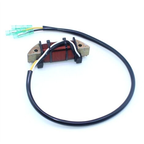 S-giant Bobine d'éclairage pour moteur hors-bord Tohatsu 2 temps 18 chevaux - Compatible avec 3G2-06023-1 et 3G2060231M. (1/5)