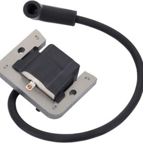 S-giant Bobine d'allumage haute tension compatible avec SV470, SV480, SV530, SV540, SV590, SV600 (1/5)