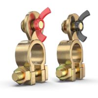 S-giant Battery Terminal Battery Pole Terminals Set Battery Terminals Connector Car Battery Clamps 12 V/24 V Car Ship Van Battery (T011)(4)
