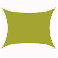 S-giant Voile d'ombrage rectangulaire imperméable, 98% UV imperméable, extérieur cour patio jardin parking(Jaune vert,4X6M)