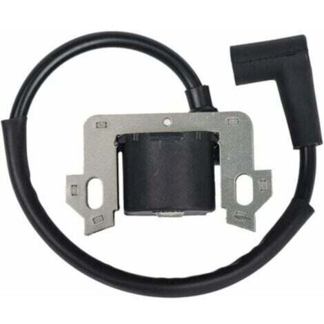 Module de Bobine D'allumage Compatible avec Honda GCV135 GCV160 GCV190 GSV160- (1/4)