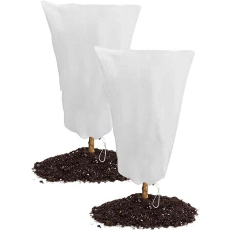80 x 120cm Voile Hivernage Plante Exterieur, Lot de 2 Housse d'hivernage pour Plantes en Pot, 80 x 120cm Contre Le Froid et Le Gel, 60g/m² bâche Protection Arbustes Couverture (1/4)