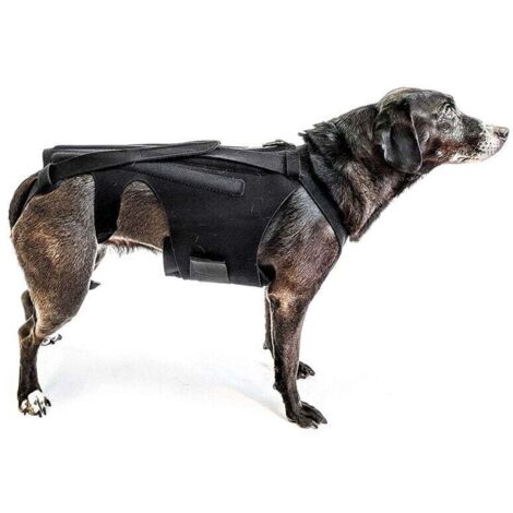 Orthèse dorsale (taille M) pour petits chiens, arthrite, récupération après chirurgie de la colonne vertébrale, hernies discales, disques glissants, rééducation - Teckels, Corgis