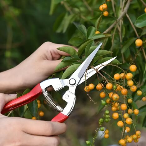 Sécateur De Jardin En Acier Inoxydable - Taille 19.5x5.9cm, Ergonomique, Anti-rouille, Pour Haies, Bonsaïs - 4