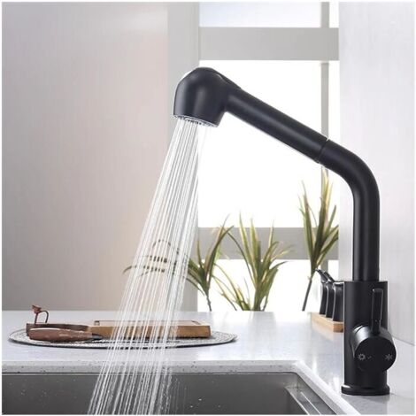 Robinet de Cuisine avec Douchette Extractible Mitigeur de Cuisine 2 Jets au Choix Robinet Evier Cuisine en Acier inoxydable Noir (1/4)