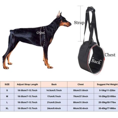 Harnais De Levage Kurgo Up And About Pour Chien - Aide à Monter Escaliers Ou En Voiture - Pour Chiens De 23 à 41 Kg