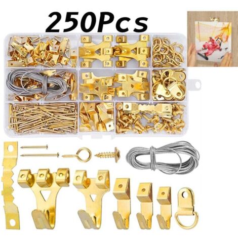 250 Pièces Crochet pour Cadre Photo, Fixation de cadre et tableau,Kit de Suspension de Tableaux, avec Vis, Clous, Anneau en D et œil à Vis, cintres en Dent de Scie, câble d'acier (1/4)